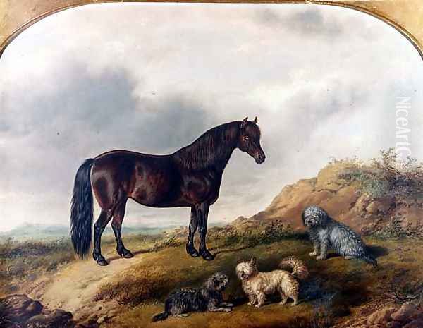 A Pony and three Terriers in a landscape Oil Painting by G. Jackson