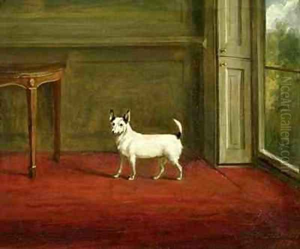 Portrait of a Jack Russell Terrier in Regency Interior Oil Painting by William Henry Davis