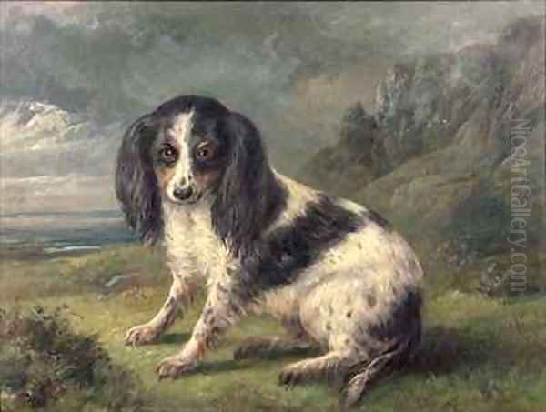 A King Charles Spaniel Oil Painting by William Ellis