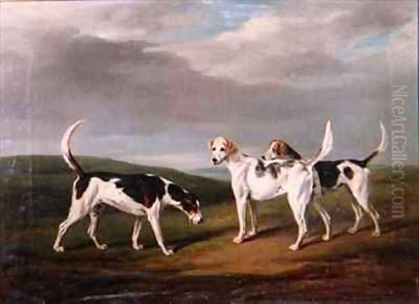 Foxhounds in a Landscape Oil Painting by William Henry Davis