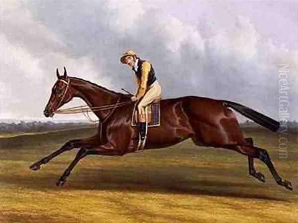 Blue Bonnet Winner of the Great St Leger Stakes at Doncaster Oil Painting by Charles Hancock