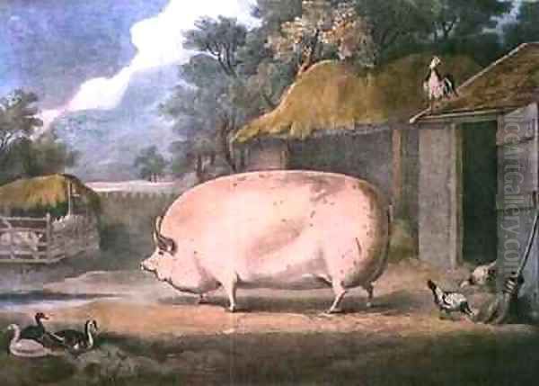 A Leicester Sow 2 years old the property of Samuel Wiley Oil Painting by William Henry Davis