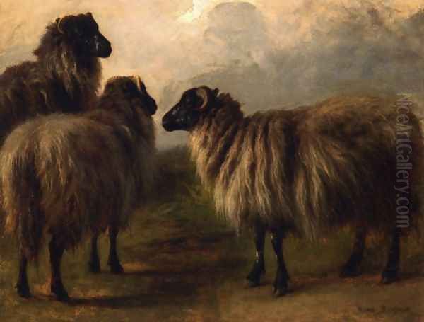 Three Wooly Sheep Oil Painting by Rosa Bonheur