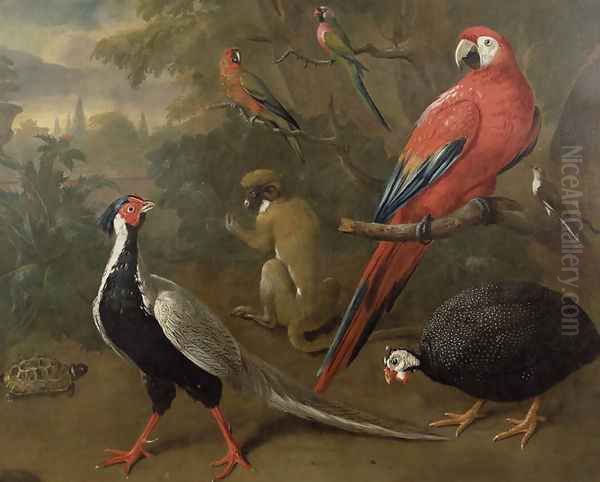 Pheasant, Macaw, Monkey, Parrots and Tortoise Oil Painting by Charles Collins