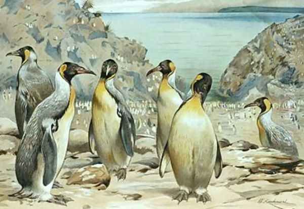 Emperor Penguin Oil Painting by Wilhelm Kuhnert