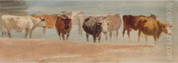 Cattle In A Stream Oil Painting by David I Cox