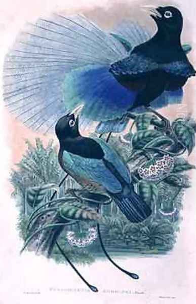 Blue Bird of Paradise Oil Painting by William M. Hart