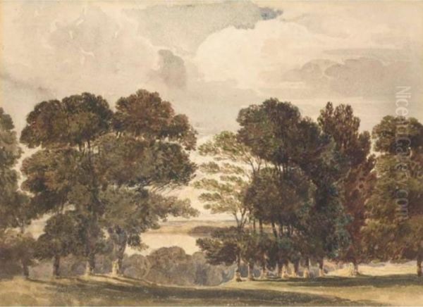 Parkland Landscape With Water Oil Painting by David I Cox