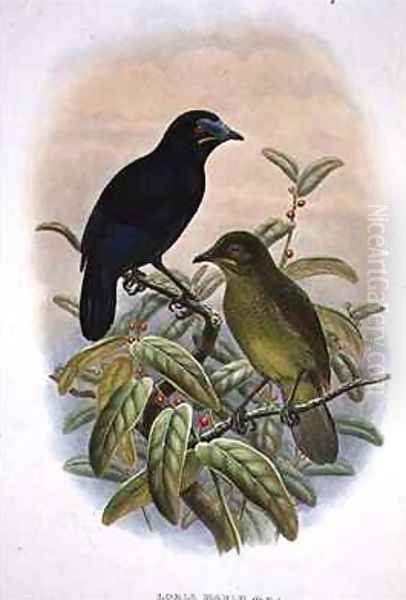 Loria Loriae Lorias Bird of Paradise Oil Painting by William M. Hart