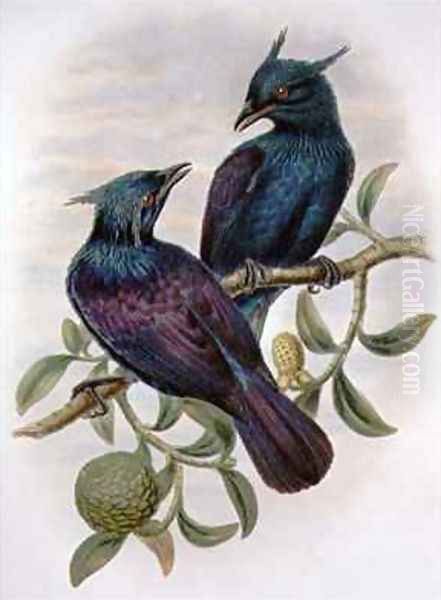 Phonygama Purpureiviolacea Oil Painting by William M. Hart