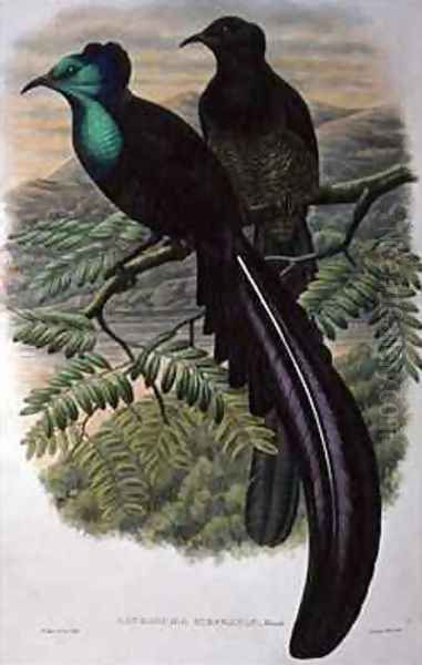 Princess Stephanies Bird of Paradise Oil Painting by William M. Hart