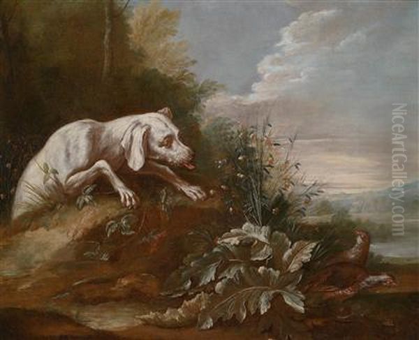 Ein Weiser Jagdhund Jagt Zwei Graue Rebhuhner Oil Painting by Alexandre-Francois Desportes