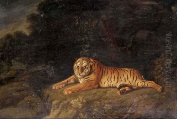 Tiger Oil Painting by George Romney