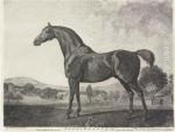 Sweetwilliam Oil Painting by George Stubbs