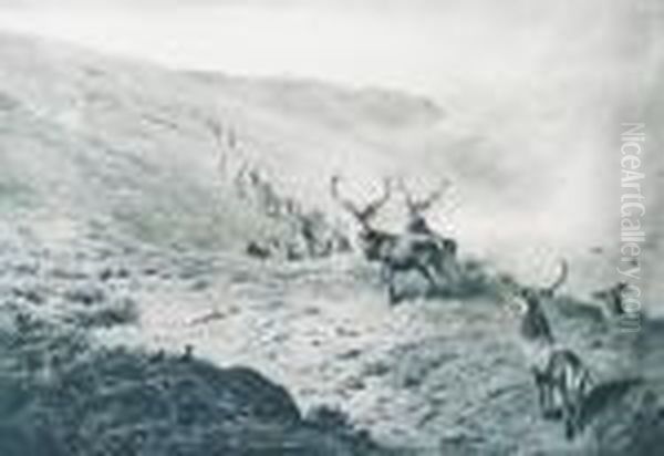 Deer Andgrouse Above A Glen Oil Painting by Archibald Thorburn