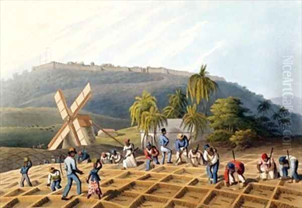 Slaves Planting Cane Cuttings Oil Painting by William Clark