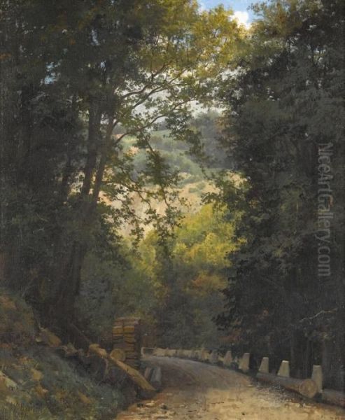 Gummischlucht (oertlischlucht) Oil Painting by Wilhelm Bernhard Benteli