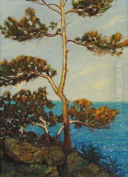 Alberi Sul Mare Oil Painting by Giovanni Battista Bosio