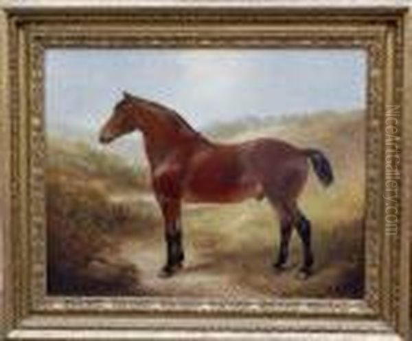 Study Of Chesnut Brown Hunter In A Landscape Oil Painting by Leonard F.G. Cattermole