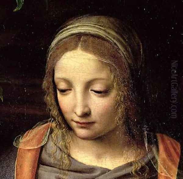 The Virgin and Child in a Landscape 2 Oil Painting by Bernardino Luini