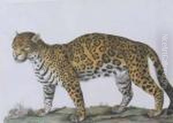 Un Jaguar De Profil A Gauche Oil Painting by Leon De Wailly