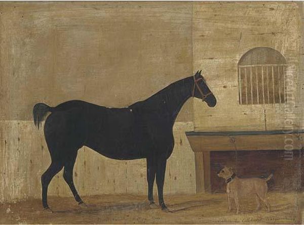 Bob, A Dapple Grey Saddled Hack With Tear On, A Terrier Oil Painting by W. M. Fellows