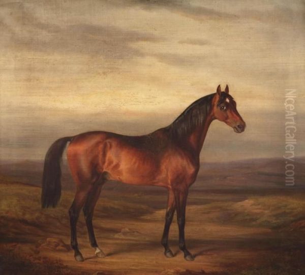 A Young Brown Stallion by Hermann Freese