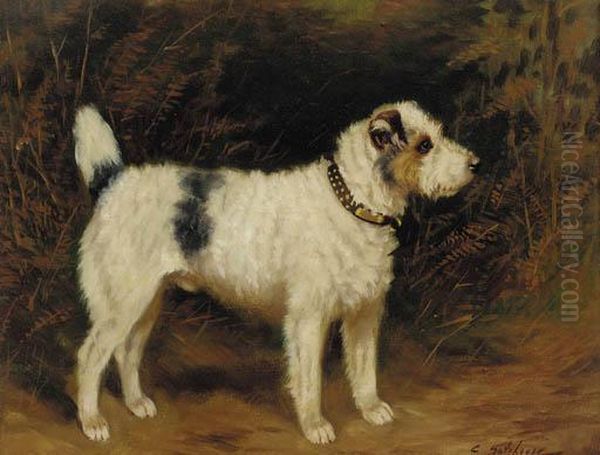 A Wire Haired Jack Russell Terrier by Charles E. Gatehouse