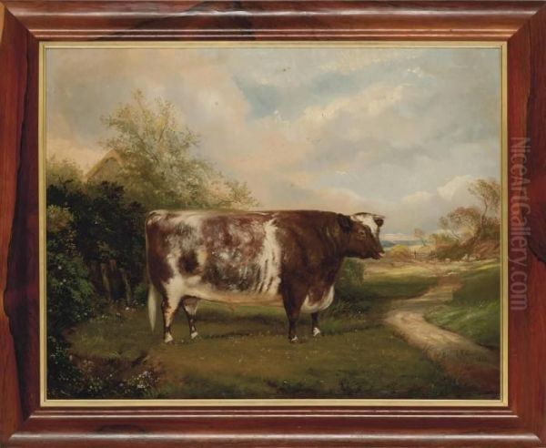 A Short-horn Bull In A Landscape Oil Painting by Maxim Gauci