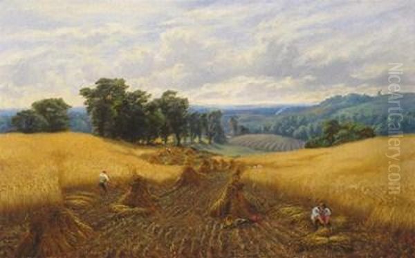 A Cornfield From Nature Oil Painting by Alfred Augustus Glendenning