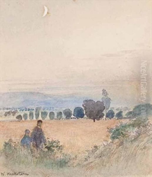 A View Of The Field Oil Painting by William Hackstoun