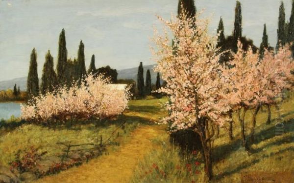 Trees In Bloom, Crimea Oil Painting by Evstaf Evich Krachkovskii Iosif