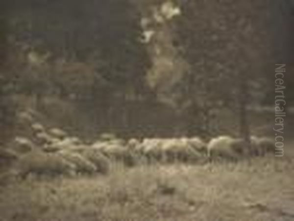 Sheep Grazing Silver Gelatin Photograph Signed 'j. Kauffmann' Lower Right 28 X 37cm Oil Painting by John Kauffmann