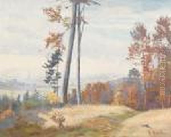 Herbstlicher Waldsaum Auf Dem Gurten Mit Blick Auf Bern Oil Painting by Robert Kiener