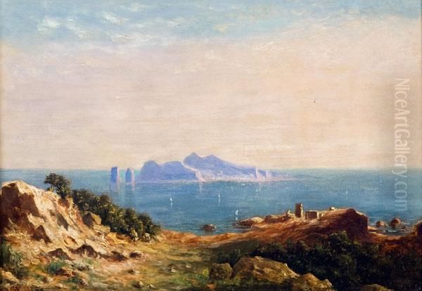 Veduta Di Capri Da Punta Campanella Oil Painting by Johanne Krebs