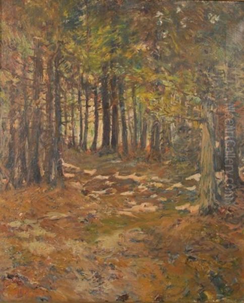 A Trail In The Woods, Macmahan Island, Maine Oil Painting by Philip Little