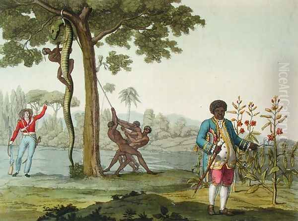 Portrait of Graman Quacy with his discovery Quaciae and the killing of a snake in Surinam, Guiana, illustration from 'Le Costume Ancien et Moderne' Oil Painting by G. Bramati