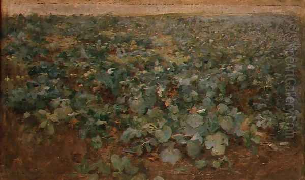 The Turnip Field Oil Painting by Edward Stott