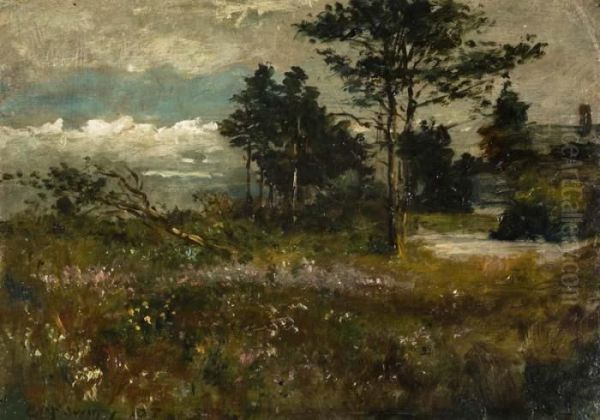 Woodland Oil Painting by Eugene Joseph Macswiney