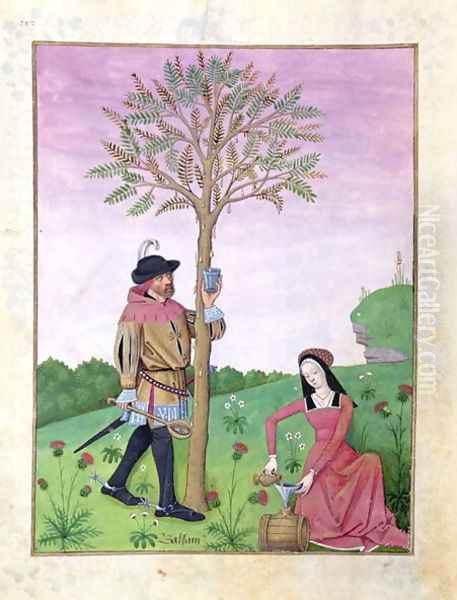 Drawing sap from a tree, Illustration from the Book of Simple Medicines by Mattheaus Platearius d.c.1161 c.1470 Oil Painting by Robinet Testard