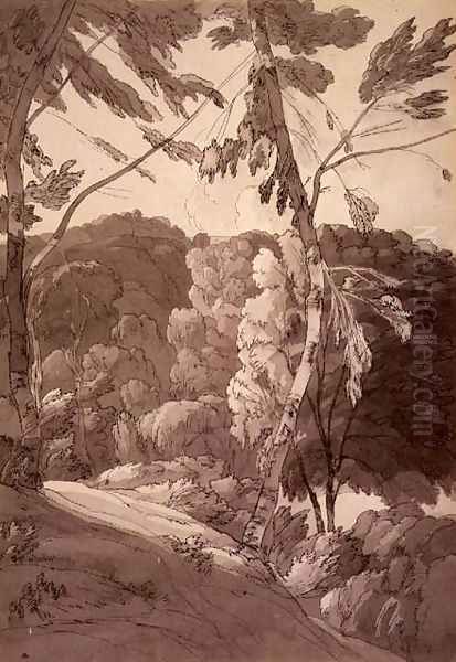 A Wooded Landscape A Scene at Indinowle 1783 Oil Painting by Francis Towne