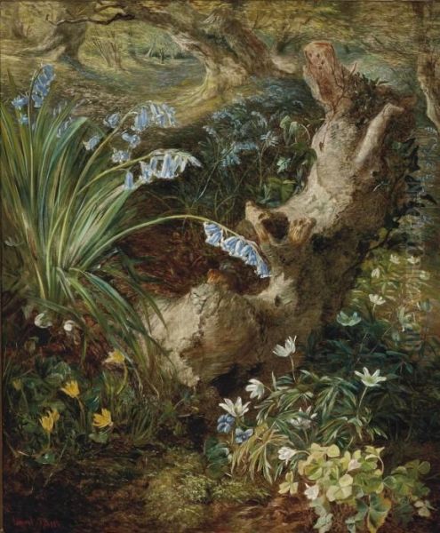 Bluebells, Aquilegias, Primroses And Ivy Growing Around A Tree Stump Oil Painting by Henry Larpent Roberts