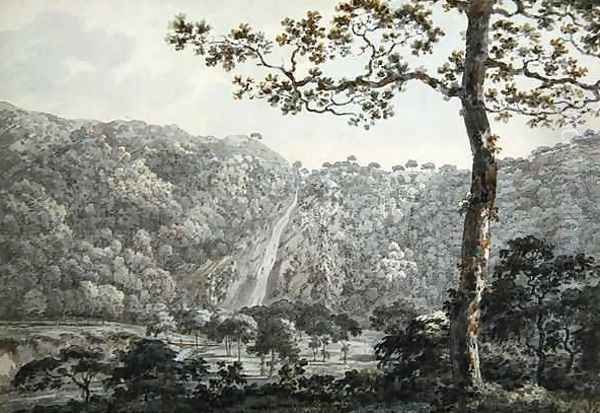 The Falls at Powerscourt, Co. Wicklow, Ireland Oil Painting by William Pars