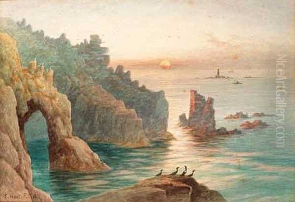 Sea Birds On A Rock Before A Coastal View Oil Painting by Thomas Strong,lt.Col Seccombe