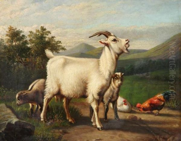 Bok, Schapen, Haan En Kippen In Landschap Oil Painting by D. Stevens