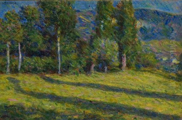 Alberi In Montagna Oil Painting by Alberto Stringa