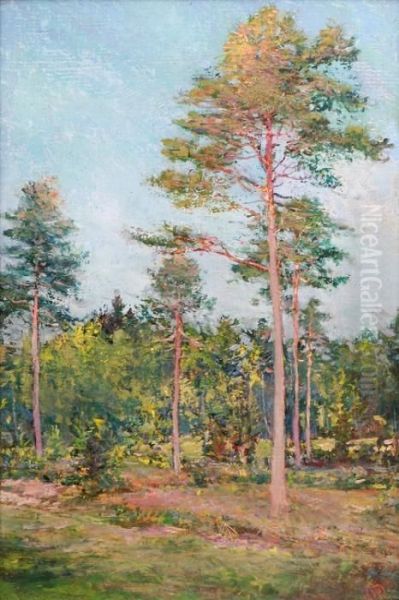 Pine Oil Painting by Rytir Vaclav