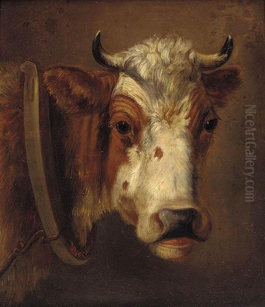 Study Of A Cow's Head Oil Painting by Dirk Van Lokhorst