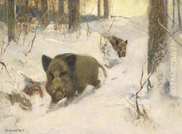 Wild Boar In A Winter Woodland by Alfred Weczerzick