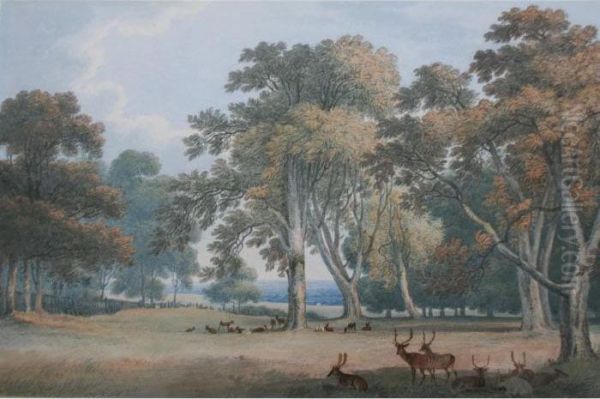 Deer In Windsor Park Oil Painting by William Frederick Wells